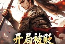 完结版《开局被贬,我要掠夺江山》章节阅读-美文小说