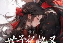 世子,世子妃她又开始扮可怜了小说无弹窗阅读的网站推荐-美文小说