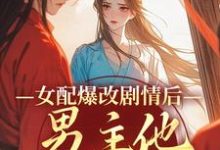完结版《女配爆改剧情后,男主他坐不住了》章节阅读-美文小说