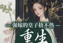 完结版《强嫁的皇子捂不热,重生她不要了》章节阅读-美文小说