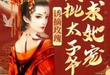 小说《诱摘玫瑰,疯批太子爷求她宠》在线章节阅读-美文小说