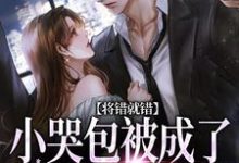 将错就错:小哭包被成了大佬心尖宠免费阅读,将错就错:小哭包被成了大佬心尖宠章节目录-美文小说