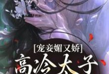 宠妾媚又娇，高冷太子为她失了魂宁宁萧璲小说在线章节目录阅读最新章节-美文小说