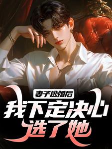 妻子逃婚后，我下定决心选了她叶陵苏颜，妻子逃婚后，我下定决心选了她小说免费阅读