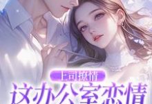 完结版《上司撩情,这办公室恋情我谈定了》章节阅读-美文小说