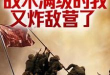 抗战:战术满级的我又炸敌营了小说完结了吗?在哪里可以免费读到?-美文小说