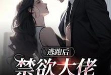 逃跑后，禁欲大佬失控了小说，逃跑后，禁欲大佬失控了免费阅读-美文小说