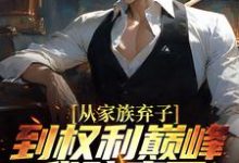 李南征隋君瑶小说从家族弃子到权利巅峰,我赌赢了章节免费阅读-美文小说
