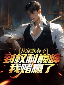 李南征隋君瑶小说从家族弃子到权利巅峰，我赌赢了章节免费阅读