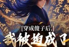 穿成傻子后，我被迫成了极品权臣小说，穿成傻子后，我被迫成了极品权臣最新章节-美文小说