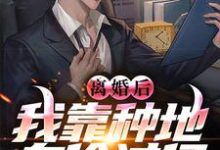 小说《离婚后,我靠种地身价过亿》章节阅读-美文小说