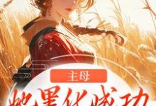 主母她黑化成功,完虐恶婆母小说最新更新在哪里?免费在线看-美文小说