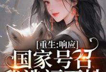 小说《重生:响应国家号召,我造福百姓》在线章节阅读-美文小说