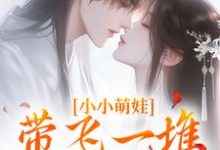 小小萌娃,带飞一堆隐世大能小说,小小萌娃,带飞一堆隐世大能章节在线阅读-美文小说