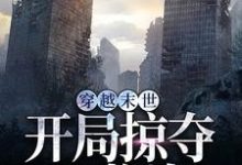 林寻小说在线章节免费阅读(穿越末世,开局掠夺S物资无弹窗无删减)-美文小说