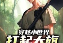 穿越小世界,扛起大旗就是干免费阅读,穿越小世界,扛起大旗就是干刘念安李淑兰-美文小说