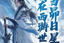 白景小说我在西游世界，当昴日星官在线阅读-美文小说