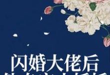 完结版《闪婚大佬后，他专宠小娇娇》章节目录在线阅读-美文小说