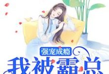 小说《强宠成瘾,我被霸总圈进怀》章节阅读-美文小说