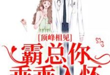 《顶峰相见,霸总你乖乖入怀》小说章节在线试读,《顶峰相见,霸总你乖乖入怀》最新章节目录-美文小说