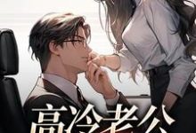 高冷老公是卑微忠犬辛甜秦汉白小说完结版章节在线阅读-美文小说