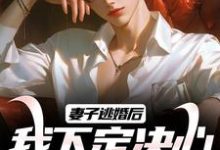 妻子逃婚后,我下定决心选了她叶陵苏颜小说完结版章节在线阅读-美文小说