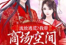 小说《流放逃荒?我带商场空间活的舒服嘞》在线章节阅读-美文小说