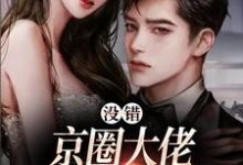 完结版《没错,京圈大佬就是没她不行》章节阅读-美文小说