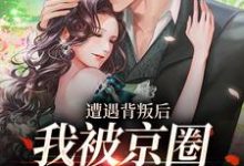 遭遇背叛后,我被京圈大佬捡回家小说的免费电子版在哪里可以下载或阅读?-美文小说