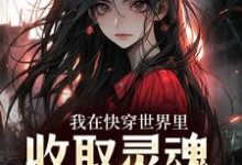 我在快穿世界里,收取灵魂当报酬免费阅读,我在快穿世界里,收取灵魂当报酬章节在线阅读-美文小说