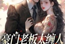 豪门老板太缠人,为她折腰为她疯小说完结了吗?在哪里可以免费读到?-美文小说