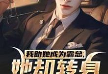 我助她成为霸总,她却转身不要我了陆寒楚若烟小说完结版章节在线阅读-美文小说