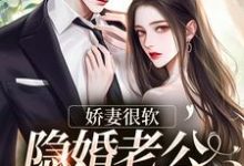 娇妻很软:隐婚老公已沦陷这本小说怎么样?免费在线阅读试试-美文小说