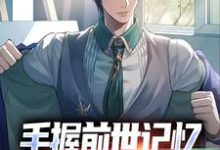 《手握前世记忆，我在官场杀疯了》小说杨文章节章节免费在线阅读-美文小说