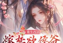 哪里能找到重生改命,嫁禁欲侯爷享幸福人生小说的全部章节?-美文小说