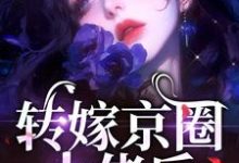 转嫁京圈大佬后，前任悔不当初小说最新更新在哪里？免费在线看-美文小说