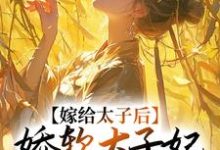 程婵衣小说叫什么(嫁给太子后,娇软太子妃藏起尖刀免费阅读)-美文小说