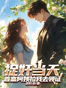 求捉奸当天，首富阿姨拉我去领证小说免费资源