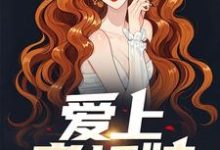 小说《爱上老板娘》在线章节阅读-美文小说