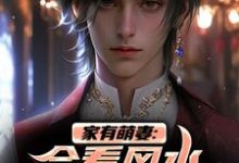 小说《家有萌妻:会看风水还会看面相!》章节阅读-美文小说