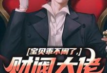 宝贝乖不闹了,财阀大佬日撩夜哄免费阅读,宝贝乖不闹了,财阀大佬日撩夜哄章节目录-美文小说