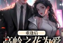 付闻洲程又青小说在线章节免费阅读(重逢后,高岭之花为爱变身追妻狂魔无弹窗无删减)-美文小说