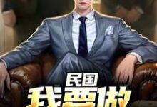 民国：我要做乱世枭雄小说阅读，民国：我要做乱世枭雄完结版-美文小说