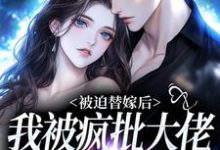 谢冬吟宁怀听小说《被迫替嫁后,我被疯批大佬宠上瘾》在线阅读-美文小说