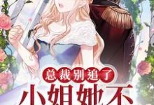 完结版《总裁别追了,小姐她不会爱你了》免费阅读-美文小说