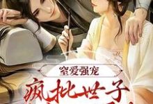 窒爱强宠:疯批世子囚我入罗账小说有没有完结版在线?-美文小说