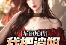 求华丽逆转，我把渣姐虐到残小说免费资源-美文小说