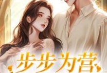 已完结小说《步步为营:领导强势爱》章节在线阅读-美文小说