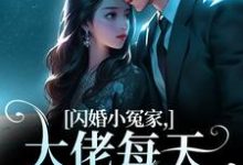 免费看闪婚小冤家,大佬每天都想贴贴小说的网站有哪些?-美文小说