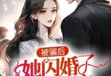 柳小念陆景南小说在线章节免费阅读(被骗后,她闪婚了豪门首富无弹窗无删减)-美文小说